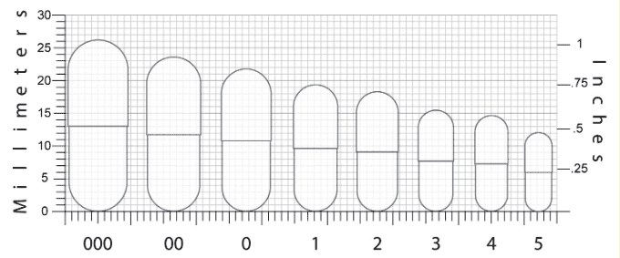 capsule sizes millimeters