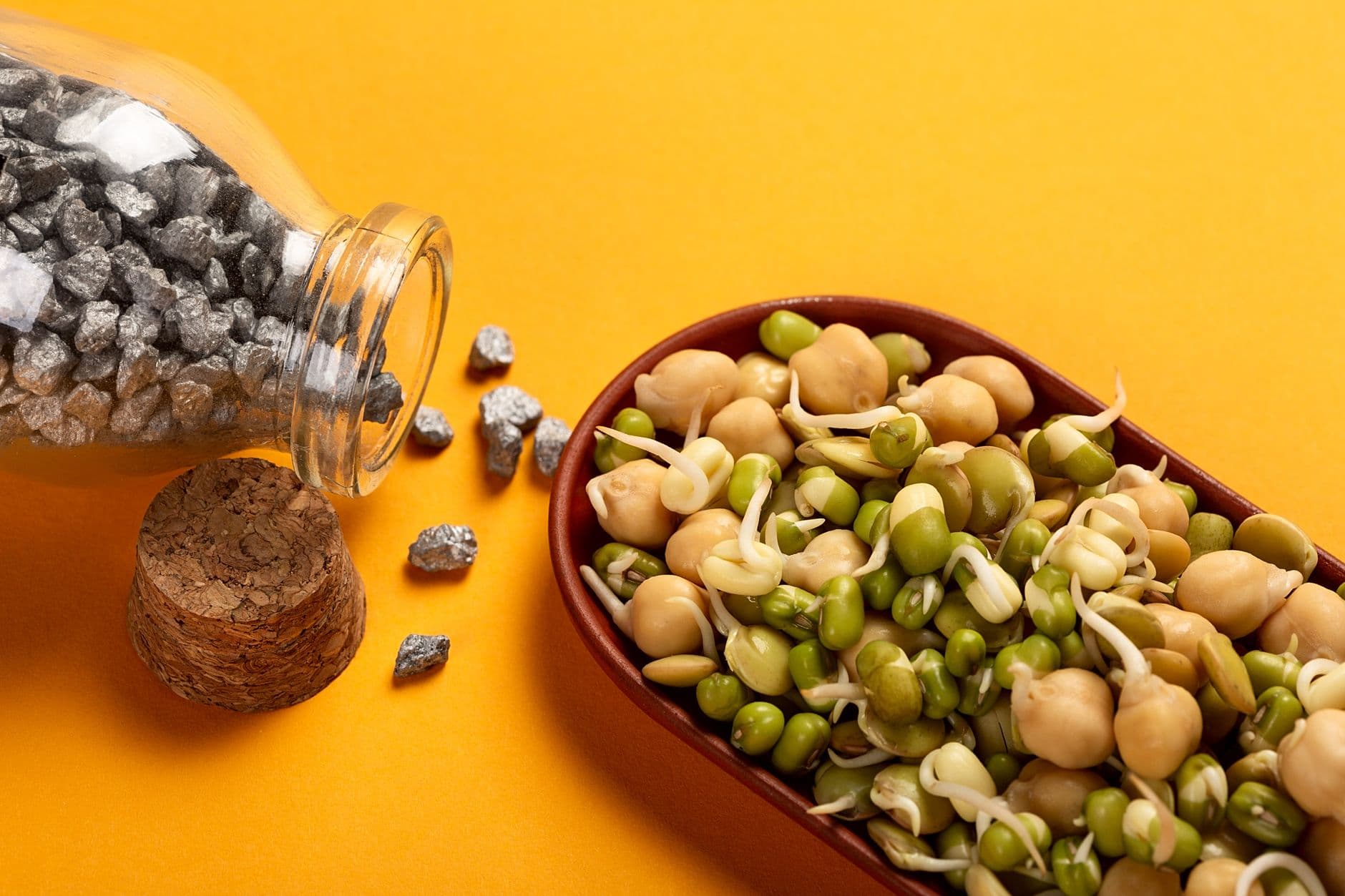 Energy & Vitality
