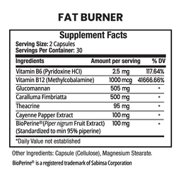 Fat Burner image 2