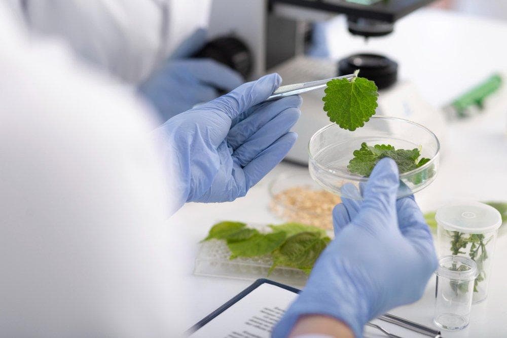 Herbal Supplement Manufacturer